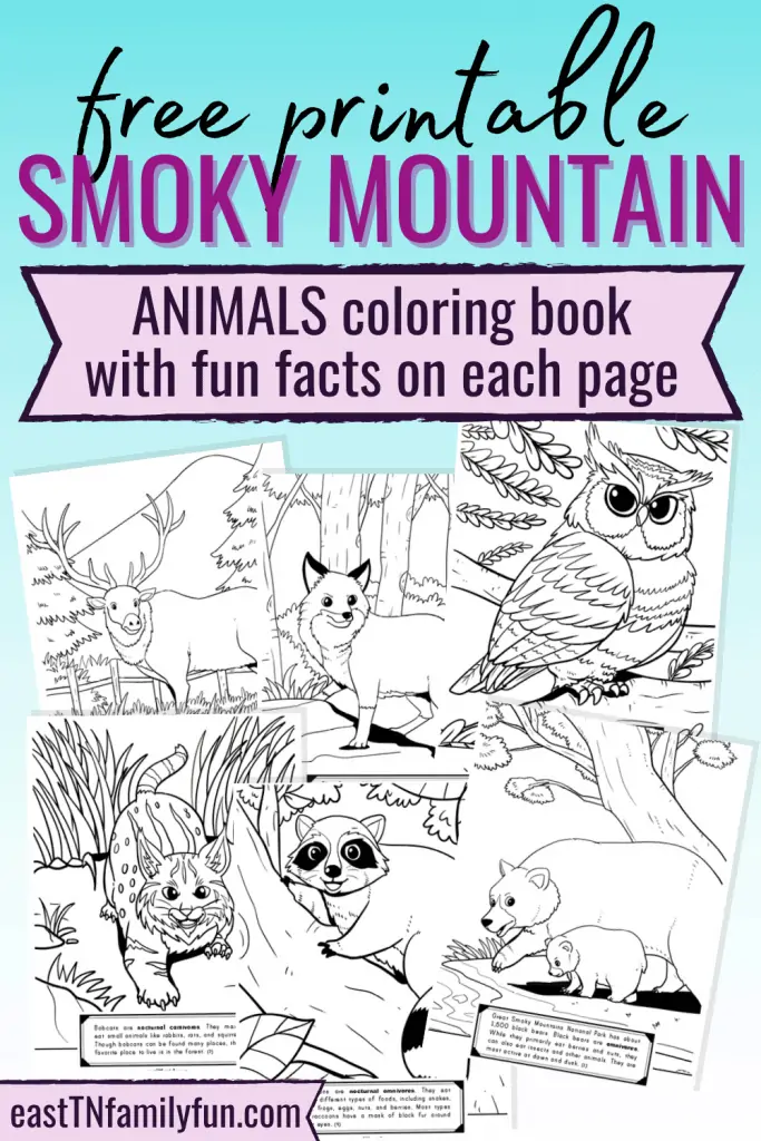 Smoky Mountain Coloring Pages