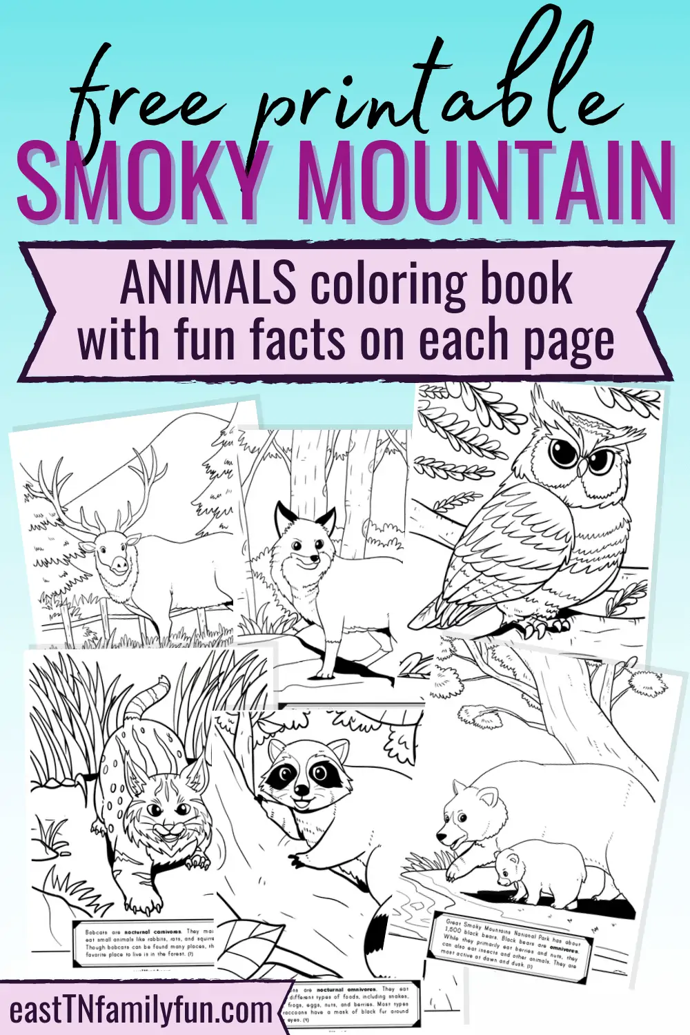 black and white Smoky Mountain Coloring Pages with forest animals.