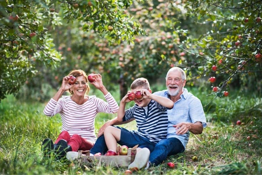happy family playing in apple orchard representing apple Orchards near Chattanooga Tennessee
