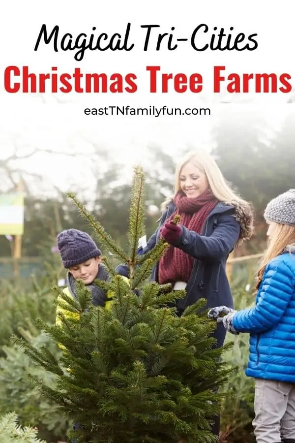Christmas Trees Farms Near Johnson City TN