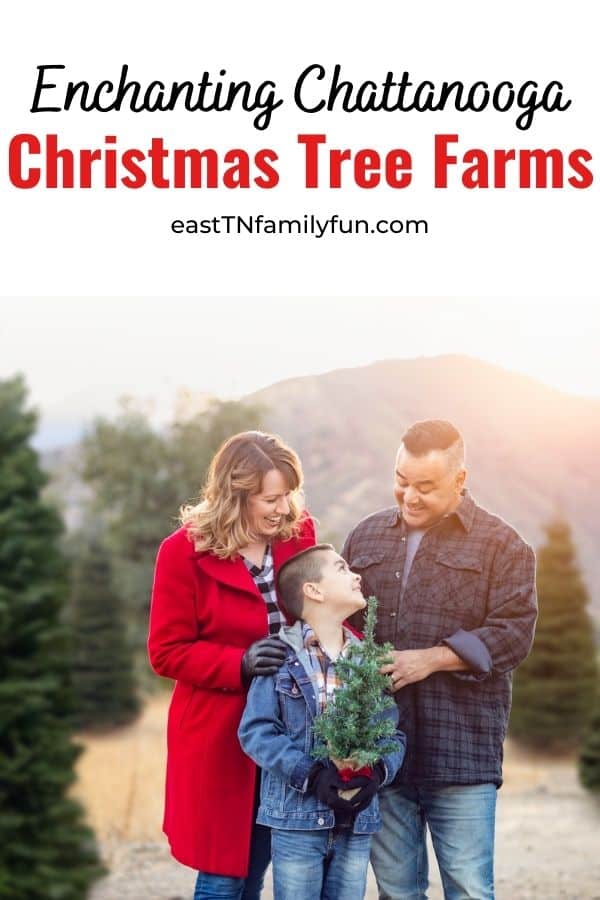 Christmas Tree Farms Chattanooga TN