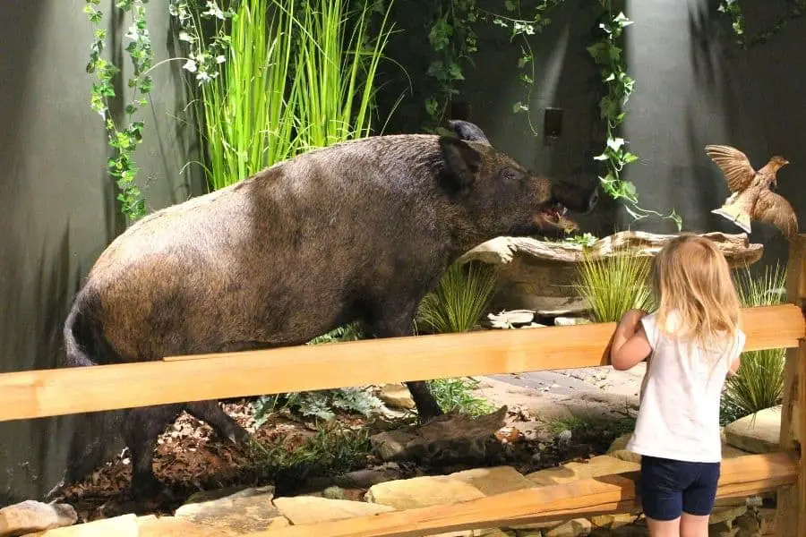 Betty Dunn Nature Center