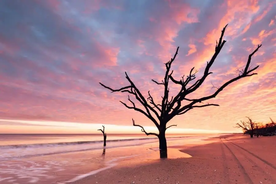 Botany Bay at Edisto Island Beach, SC