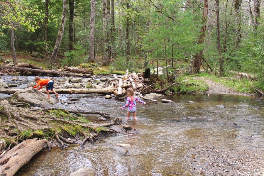 kids splash in a creek in cades cove