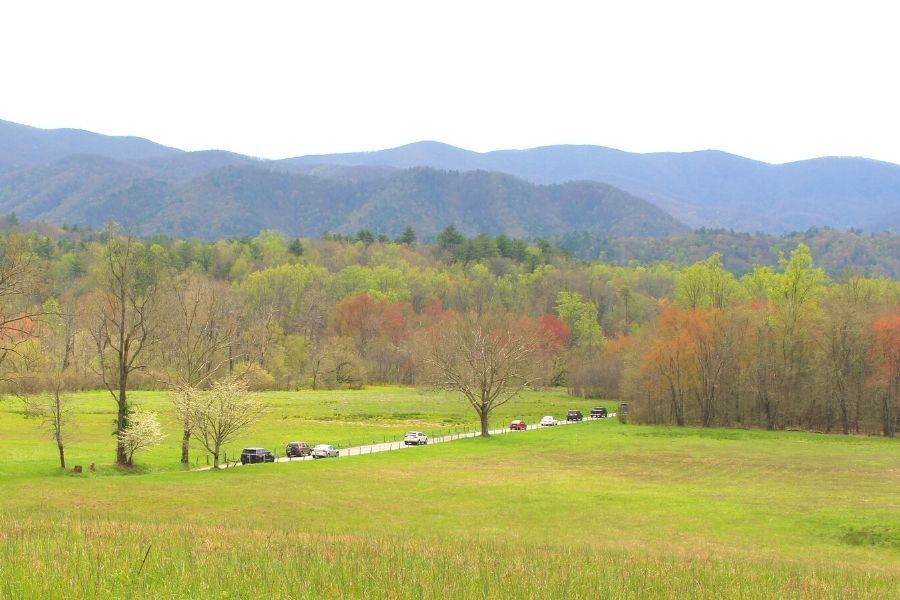 cars driving through the mountains in Cades Cove